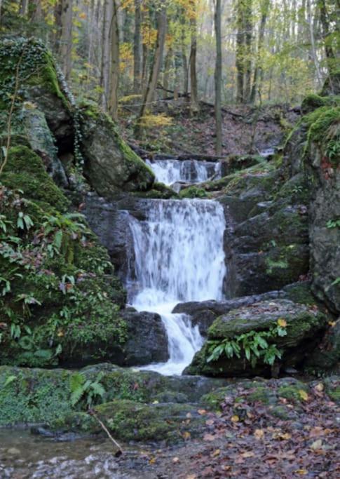 Laissez-Vous Enchanter Par La Vallee De La Meuse Hastiere-par-dela Exteriér fotografie