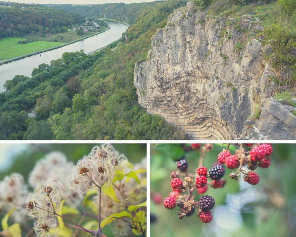 Laissez-Vous Enchanter Par La Vallee De La Meuse Hastiere-par-dela Exteriér fotografie